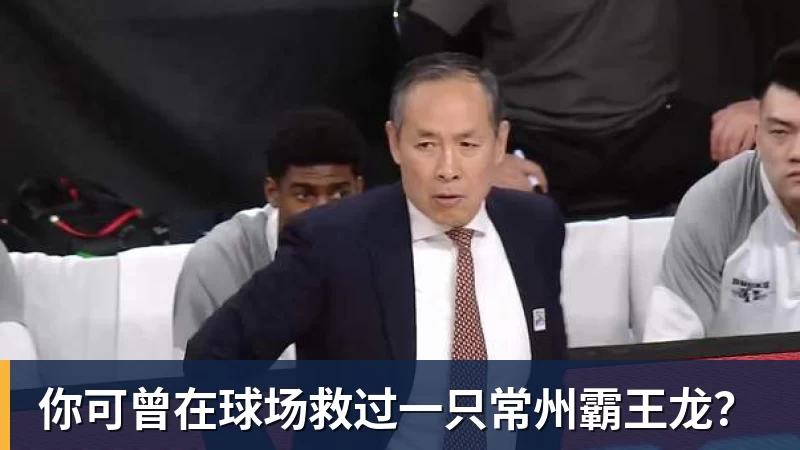 你可曾在球场救过一只常州霸王龙？